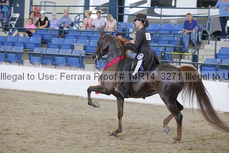 Proof Number 14r14_3271