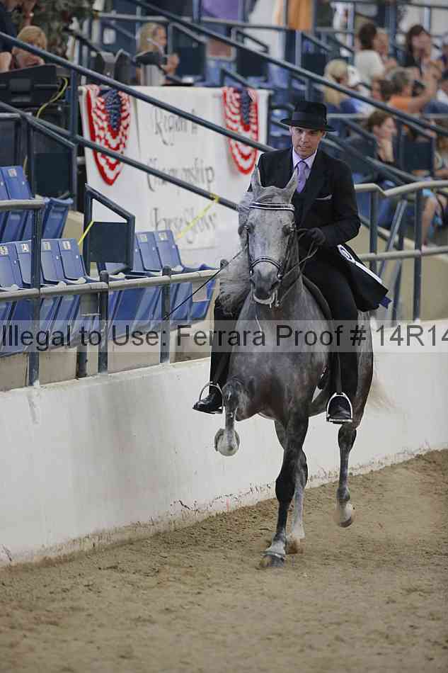 Proof Number 14r14_3278