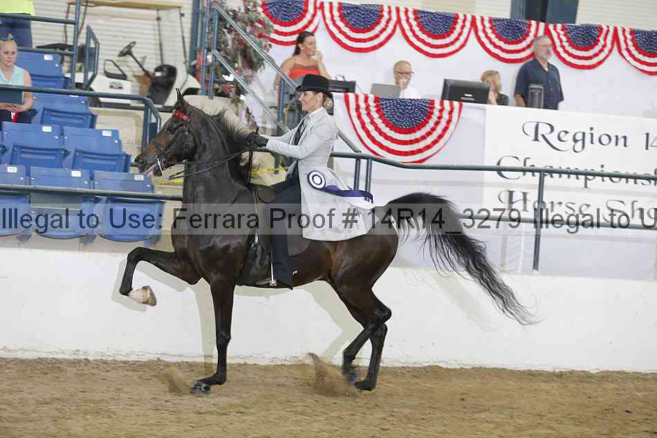 Proof Number 14r14_3279