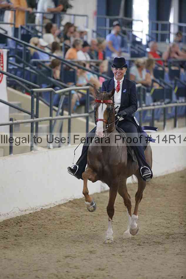 Proof Number 14r14_3280