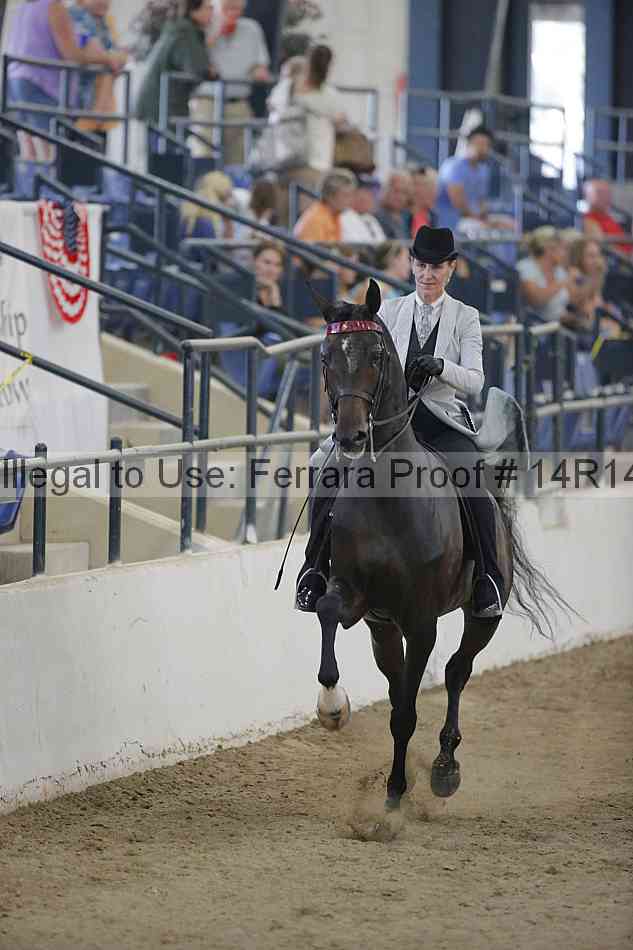 Proof Number 14r14_3281