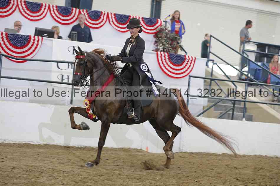 Proof Number 14r14_3282