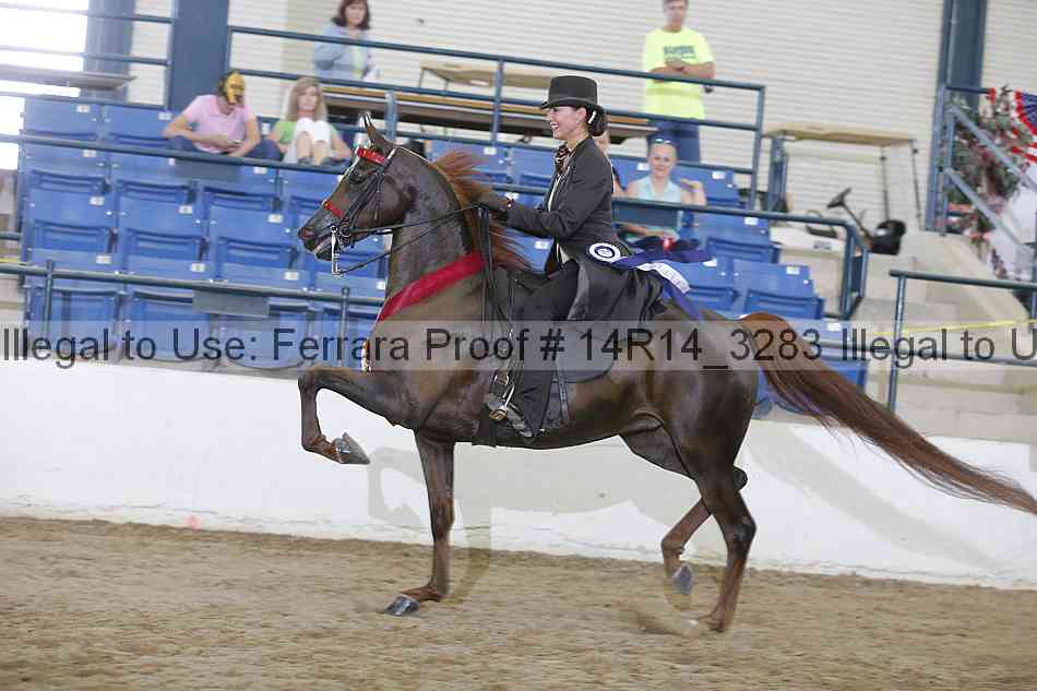Proof Number 14r14_3283