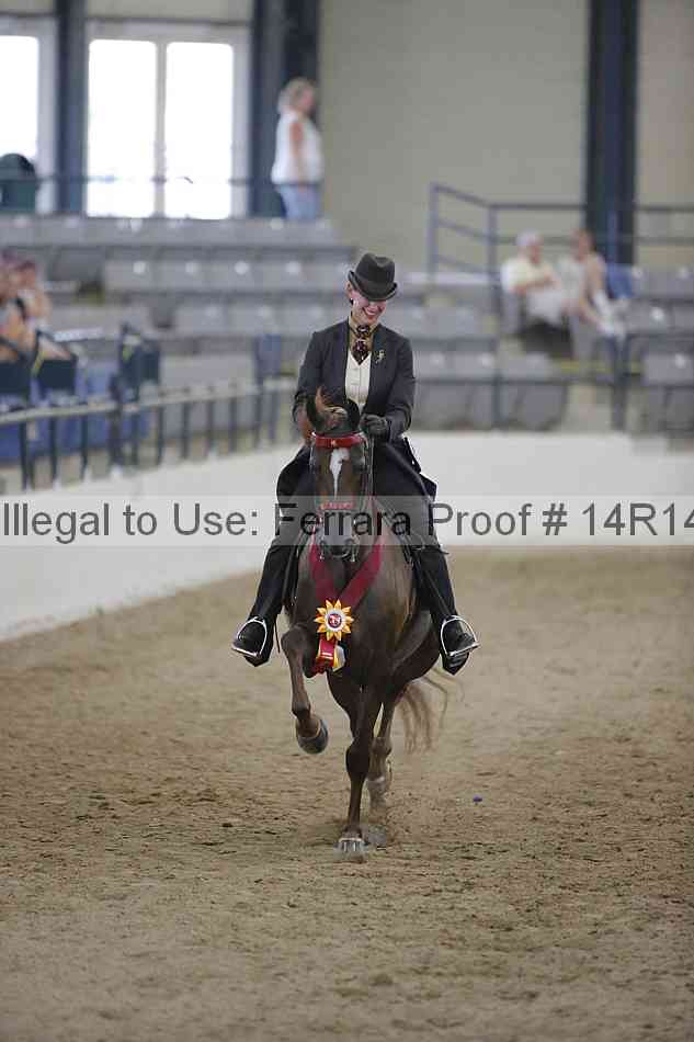 Proof Number 14r14_3284