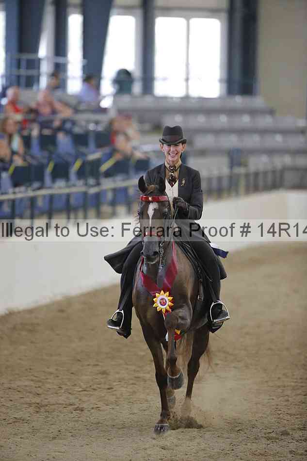 Proof Number 14r14_3285