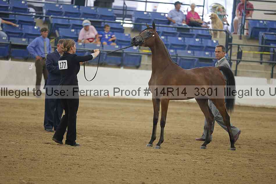 Proof Number 14r14_3301