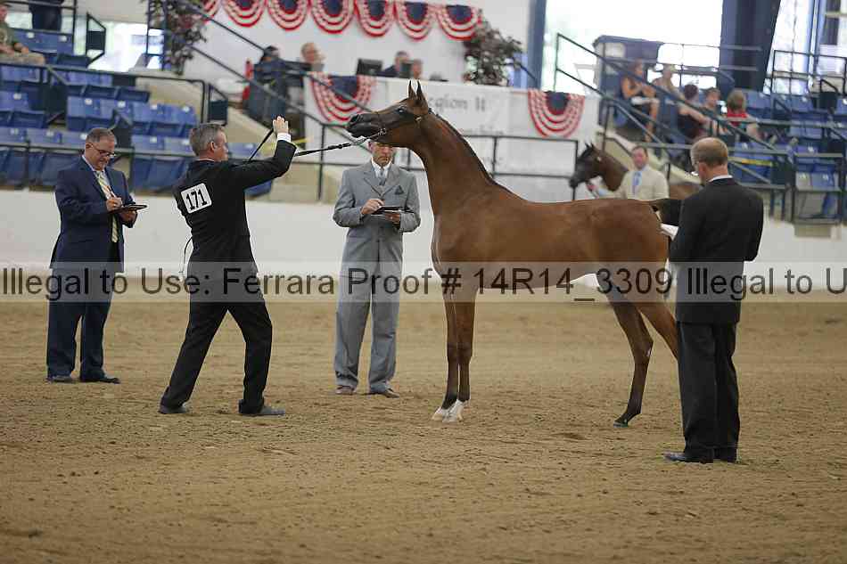 Proof Number 14r14_3309