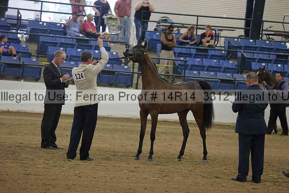 Proof Number 14r14_3312