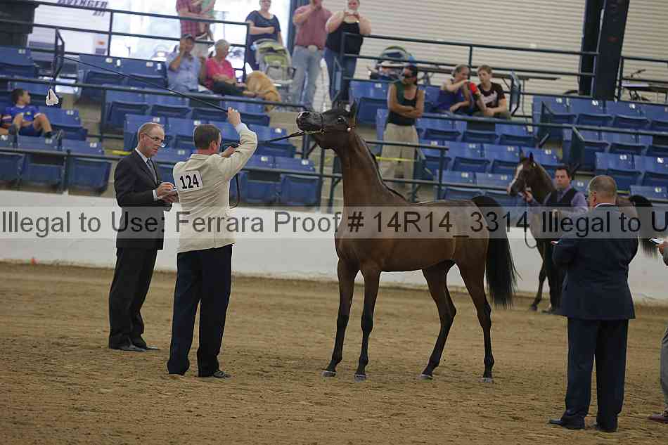 Proof Number 14r14_3314