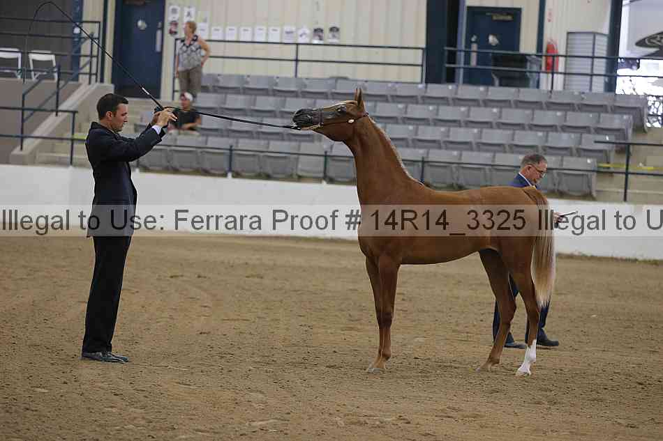 Proof Number 14r14_3325