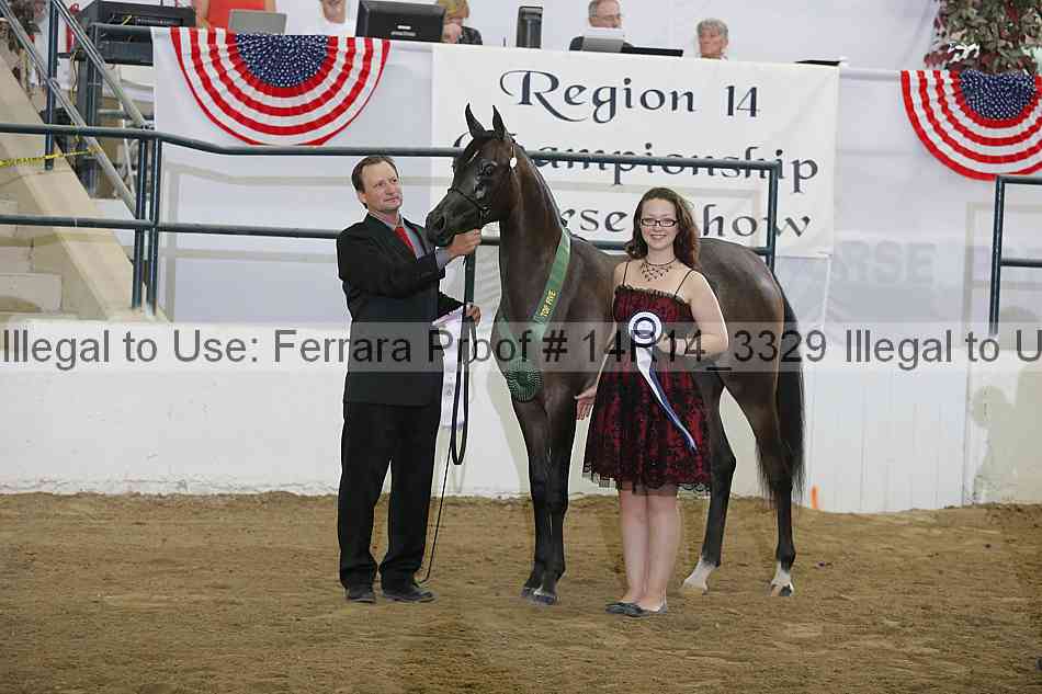 Proof Number 14r14_3329