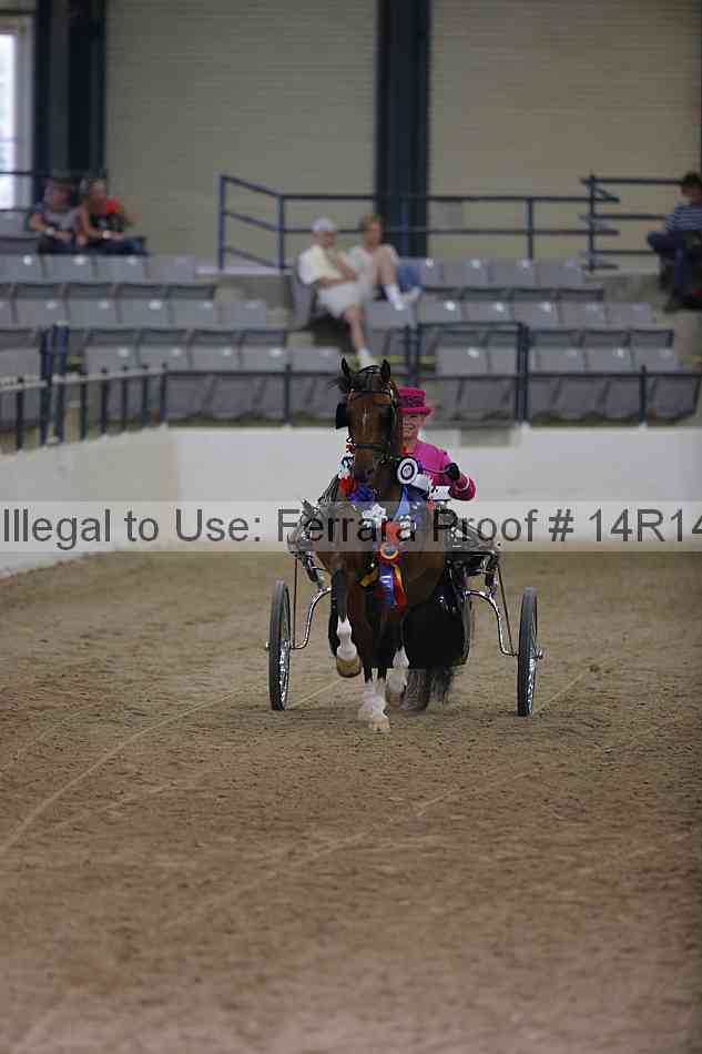 Proof Number 14r14_3346