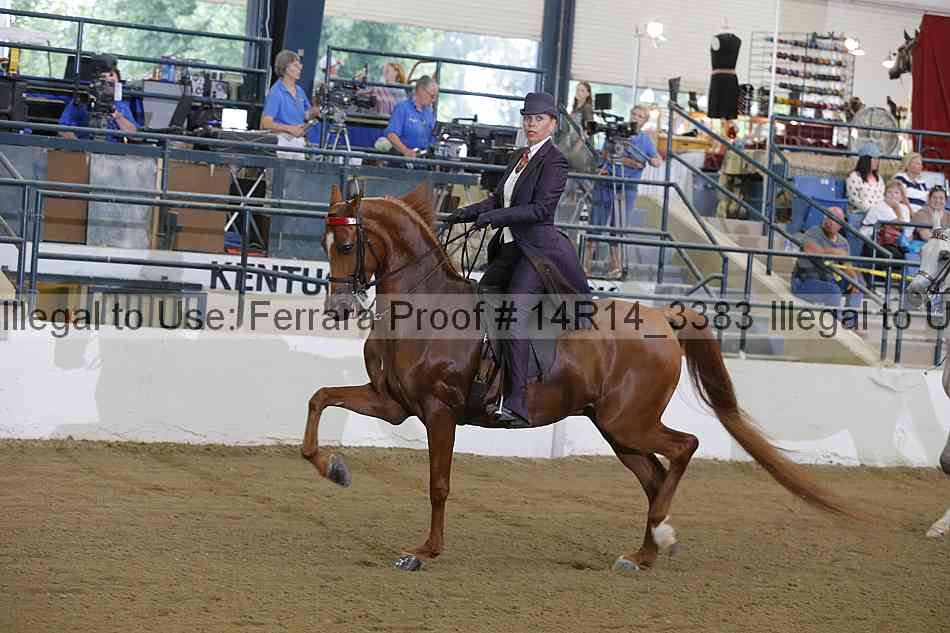 Proof Number 14r14_3383