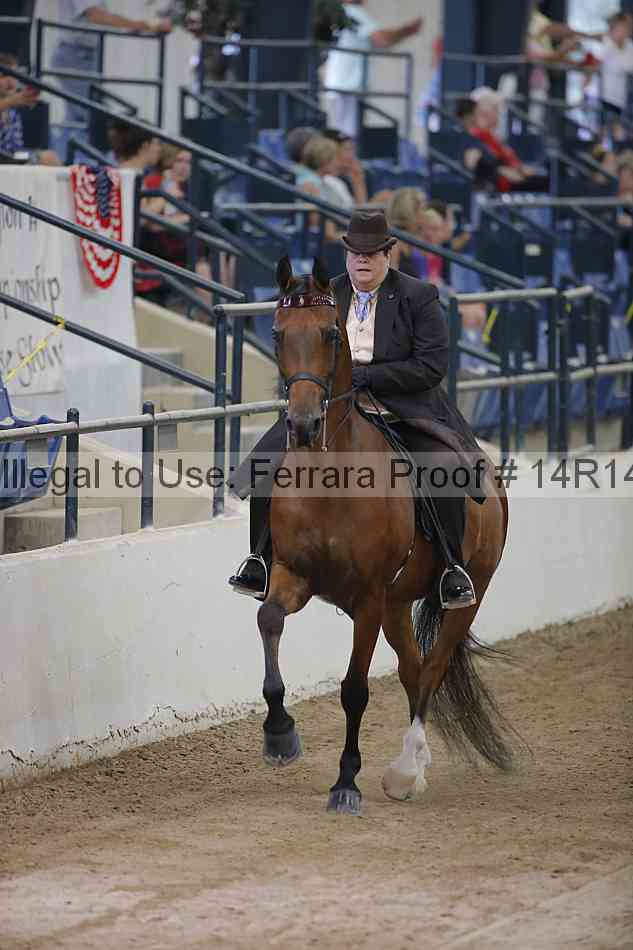 Proof Number 14r14_3386