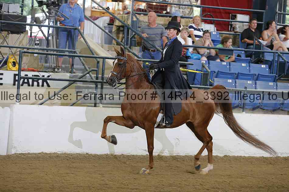 Proof Number 14r14_3392