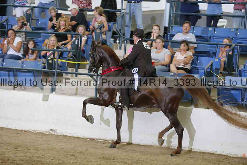 Proof Number 14r14_3393