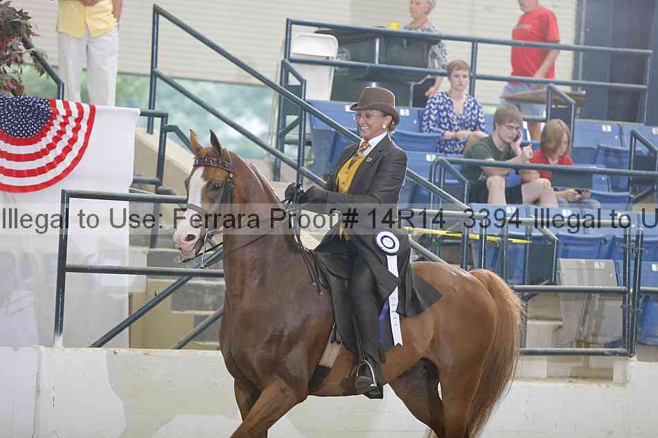 Proof Number 14r14_3394