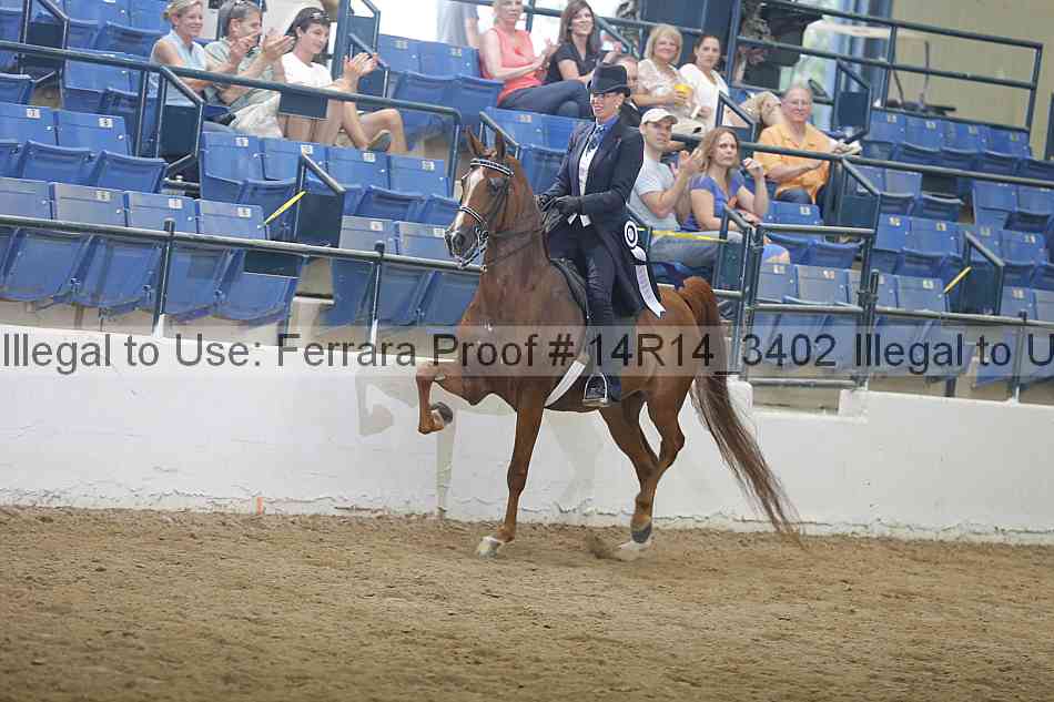 Proof Number 14r14_3402