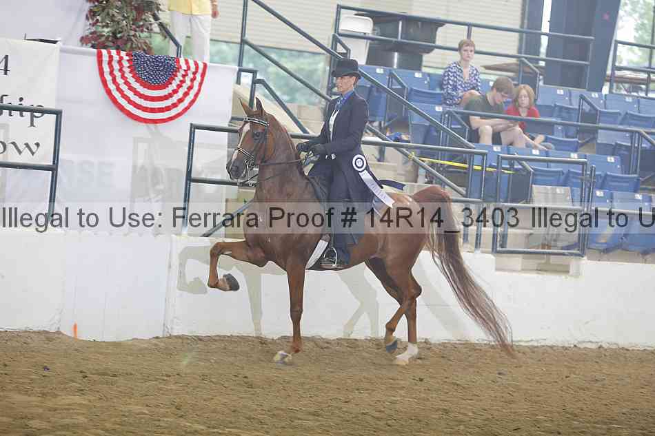 Proof Number 14r14_3403
