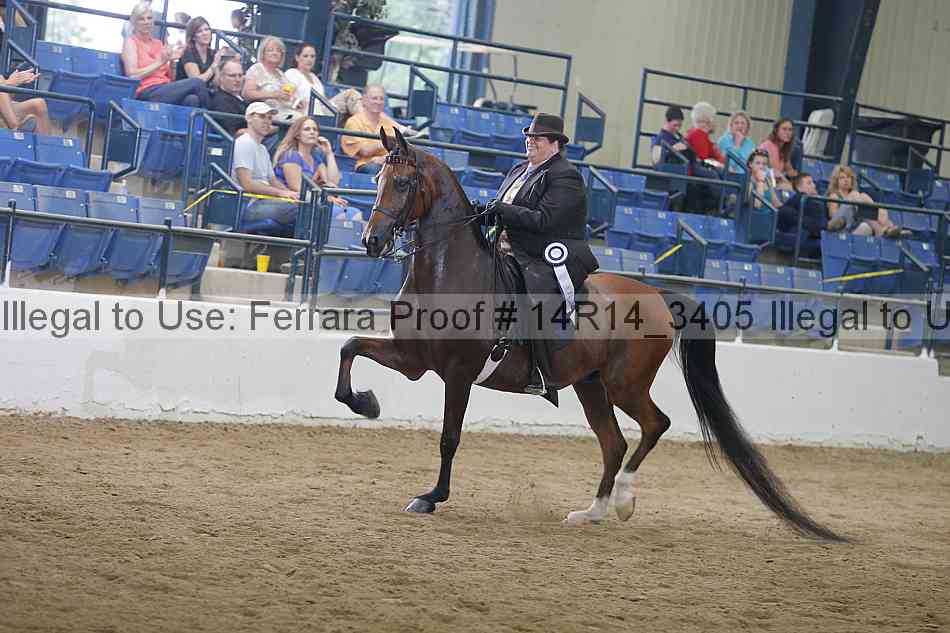 Proof Number 14r14_3405