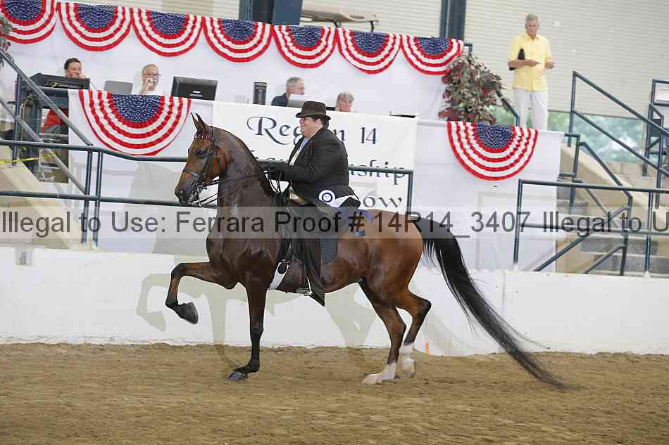 Proof Number 14r14_3407