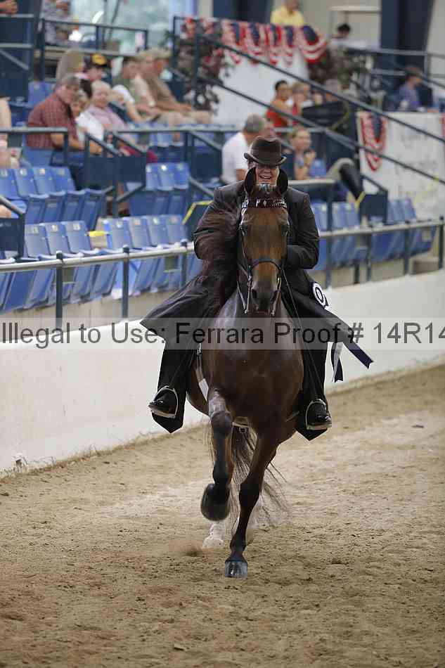 Proof Number 14r14_3408