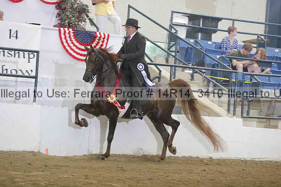 Proof Number 14r14_3410