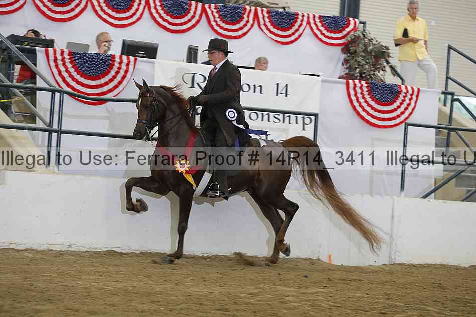 Proof Number 14r14_3411
