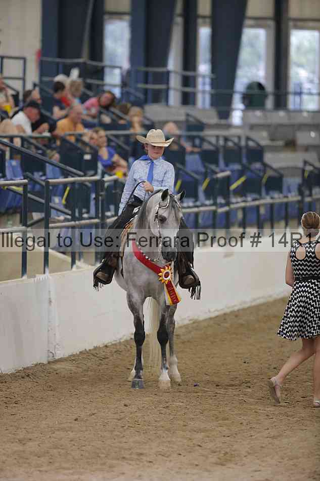 Proof Number 14r14_3434
