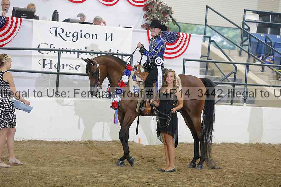 Proof Number 14r14_3442