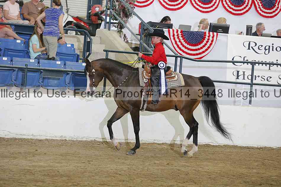 Proof Number 14r14_3448