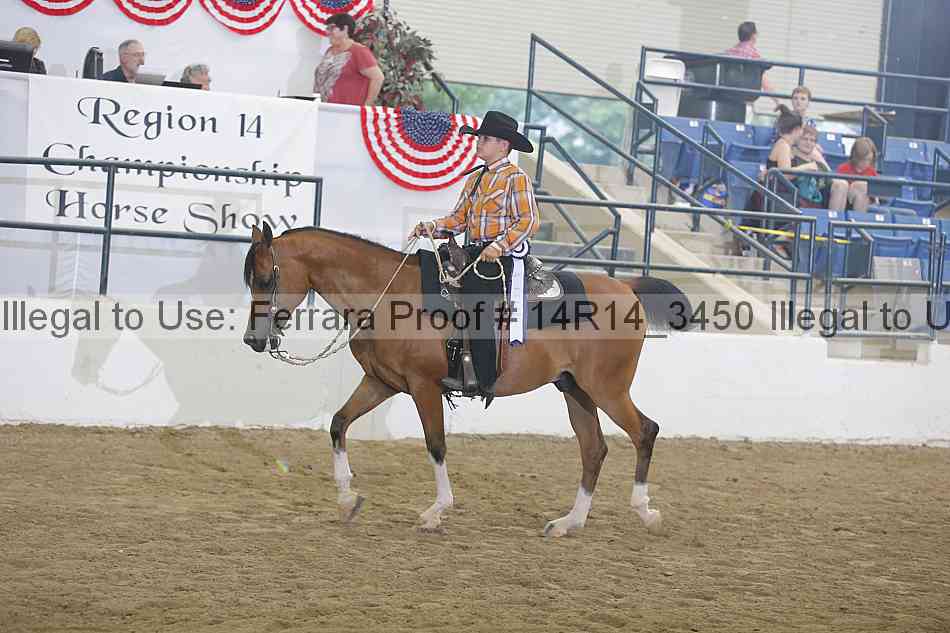 Proof Number 14r14_3450