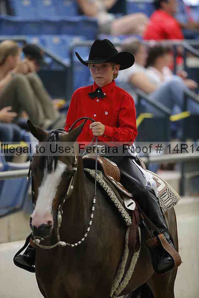 Proof Number 14r14_3452