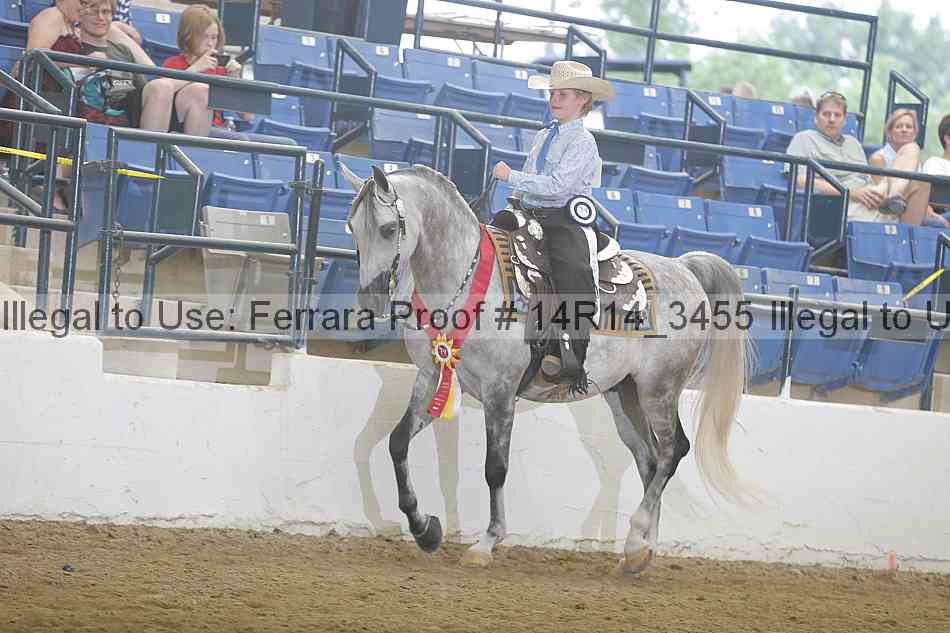 Proof Number 14r14_3455