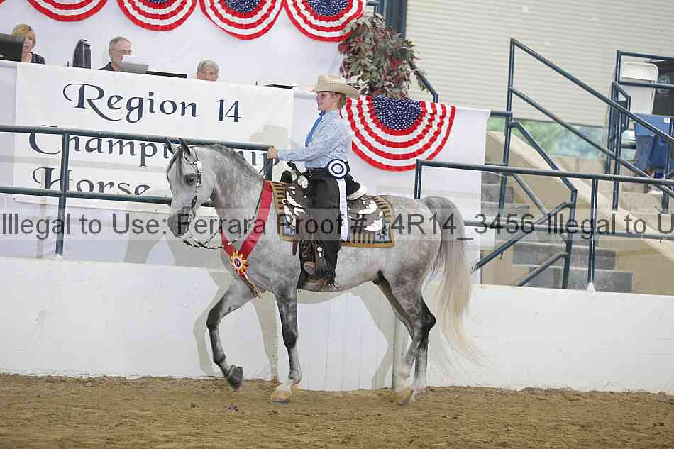 Proof Number 14r14_3456