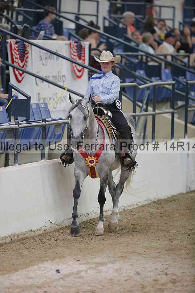 Proof Number 14r14_3458