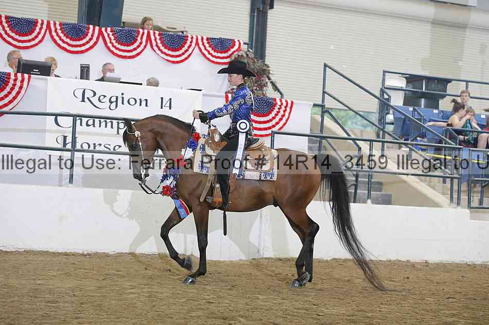 Proof Number 14r14_3459