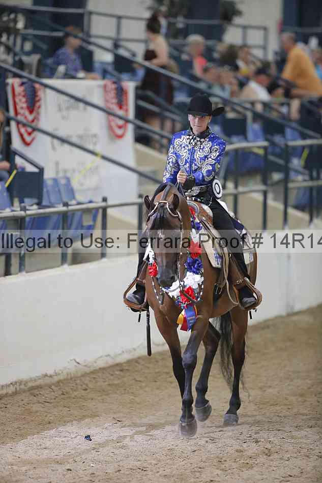 Proof Number 14r14_3464