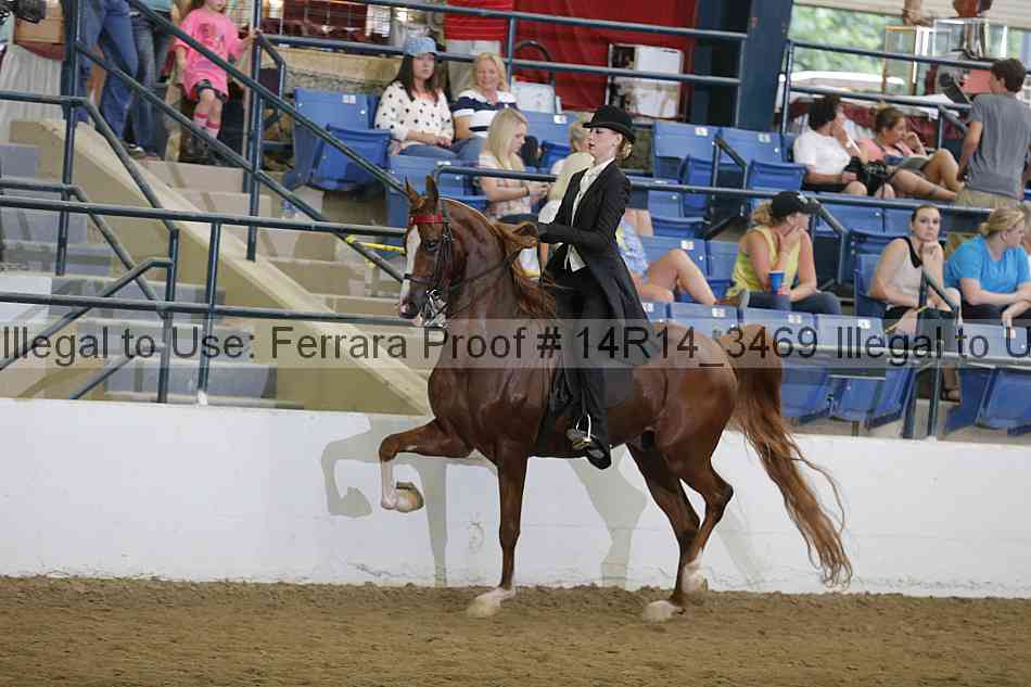 Proof Number 14r14_3469