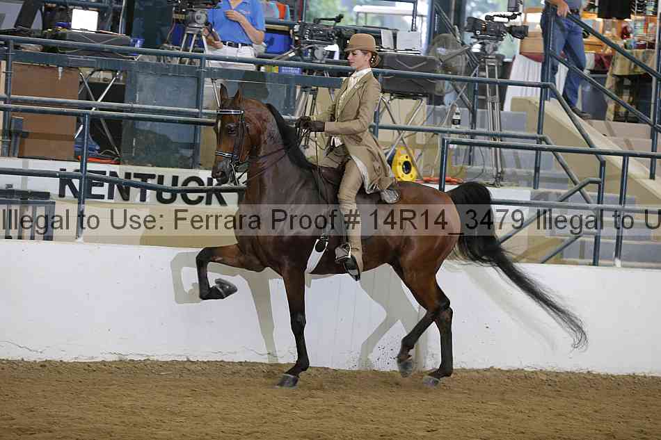 Proof Number 14r14_3479