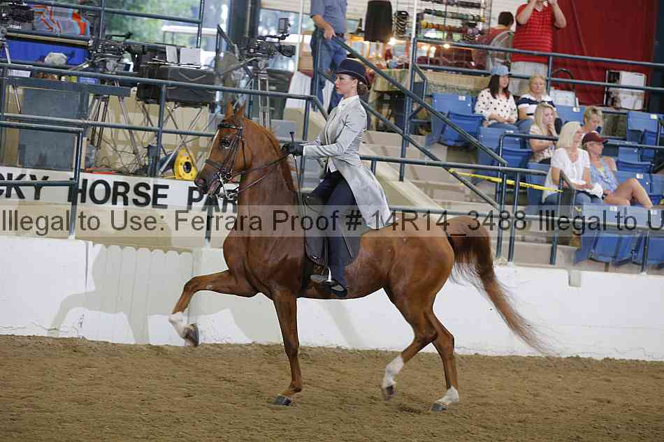 Proof Number 14r14_3488