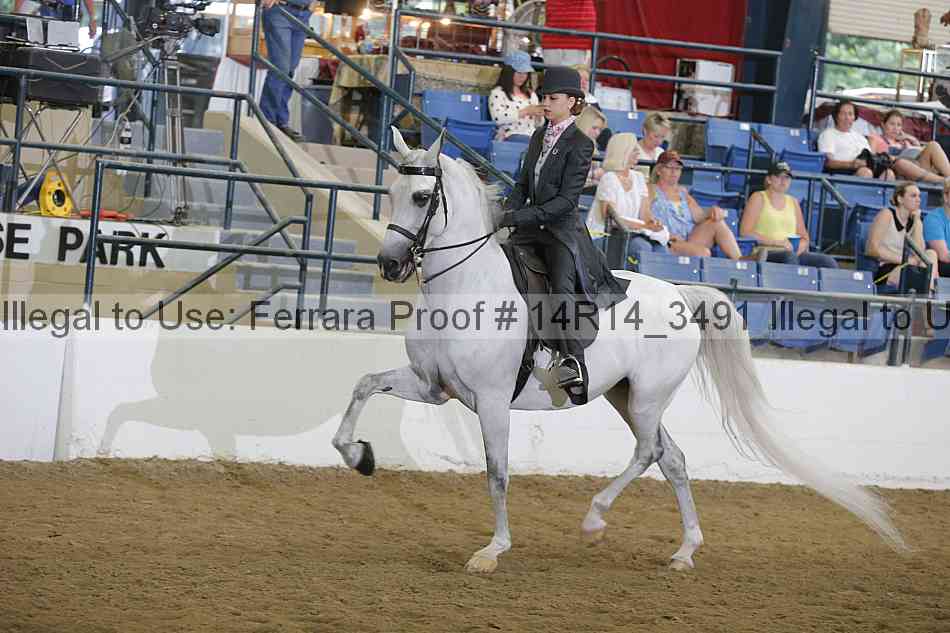 Proof Number 14r14_3491
