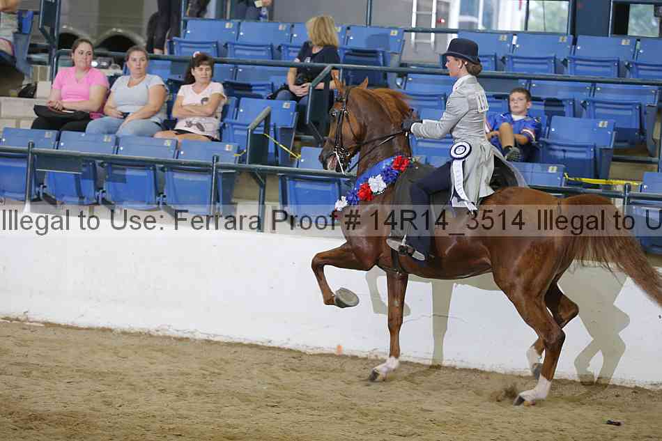 Proof Number 14r14_3514