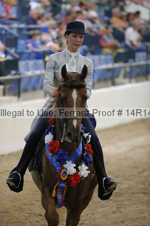 Proof Number 14r14_3517