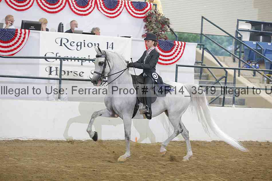Proof Number 14r14_3519