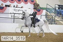 14r14_3519 thumbnail