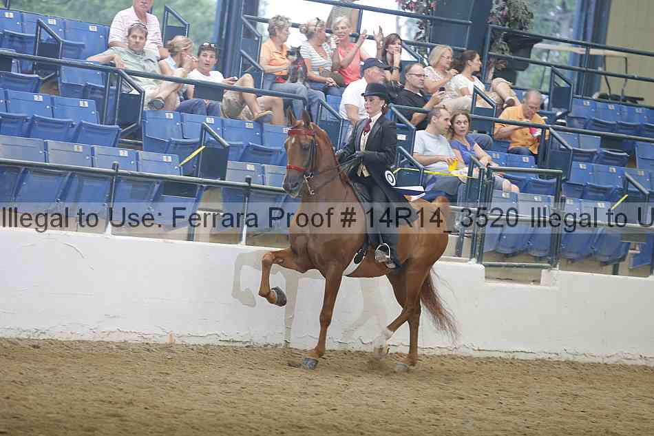 Proof Number 14r14_3520