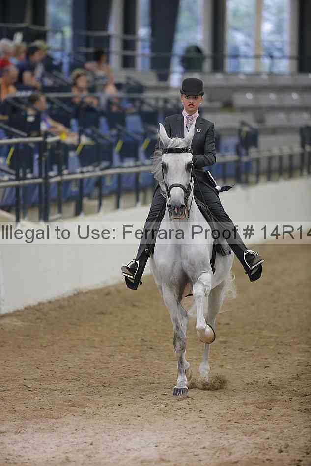 Proof Number 14r14_3521