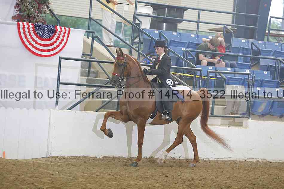 Proof Number 14r14_3522