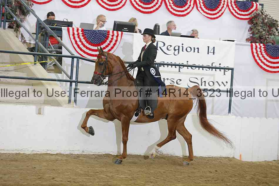 Proof Number 14r14_3523